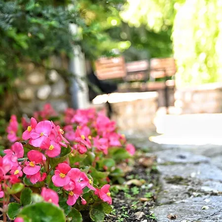 Jazina Trebinje