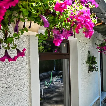 Hotel Jazina